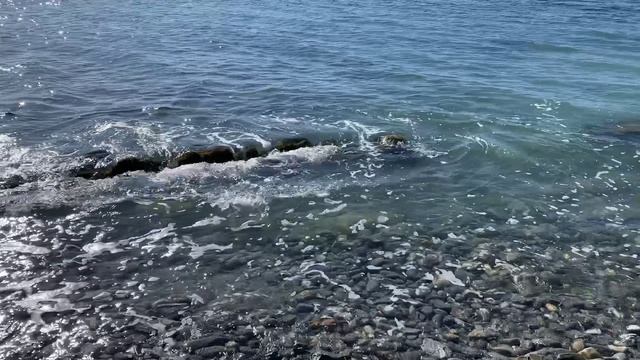 01.03.2026 Анапа Весна