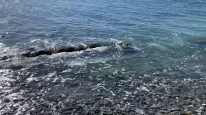 01.03.2026 Анапа Весна