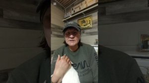 Сбор на навес для собак нашего приюта