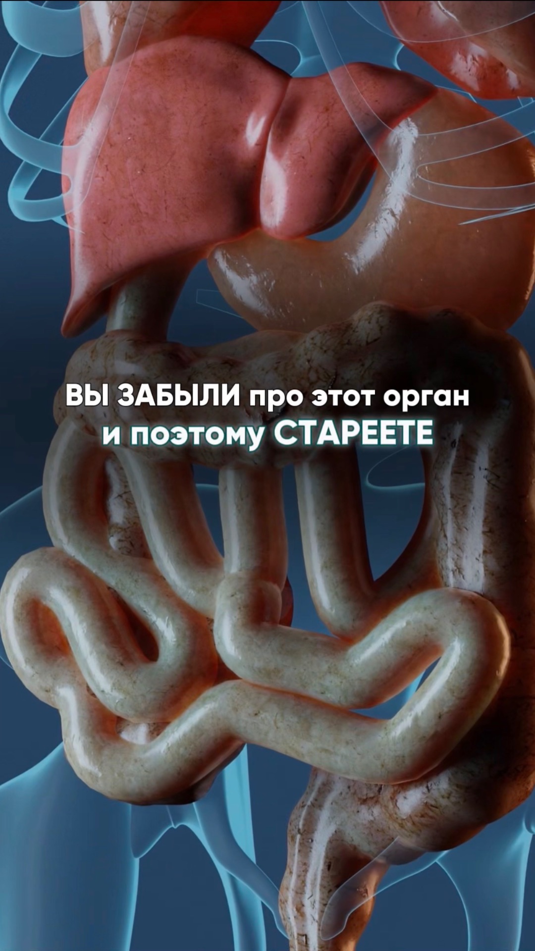 Вы ЗАБЫЛИ про этот орган и поэтому СТАРЕЕТЕ! #молодость #организм #здоровье