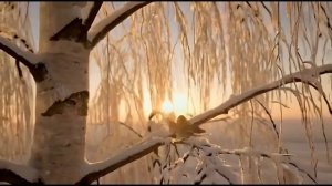 Стихотворение Сергея Есенина «Берёза»