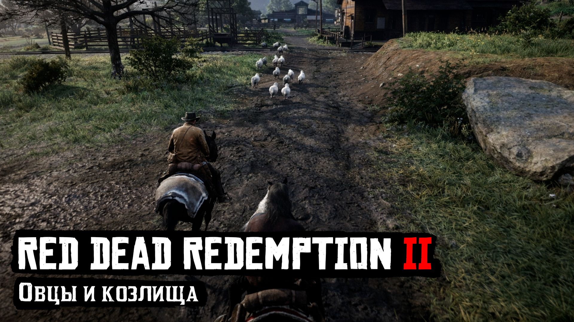 RDR 2 | Прохождение | Овцы и козлища