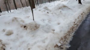 1-е марта, а кругом еще горы снега - (2)