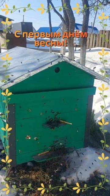 Первый день весны.