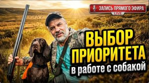 Запись прямого эфира: «Выбор приоритета в работе с собакой»