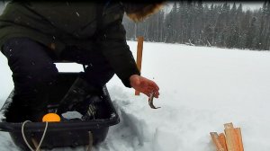 Рыбалка в первый день весны