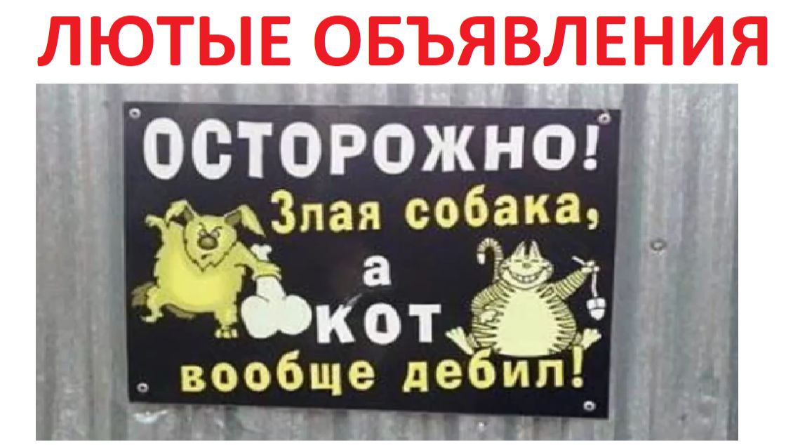 Лютые объявления. Осторожно - злая собака, а кот вообще дебил! смотреть онлайн