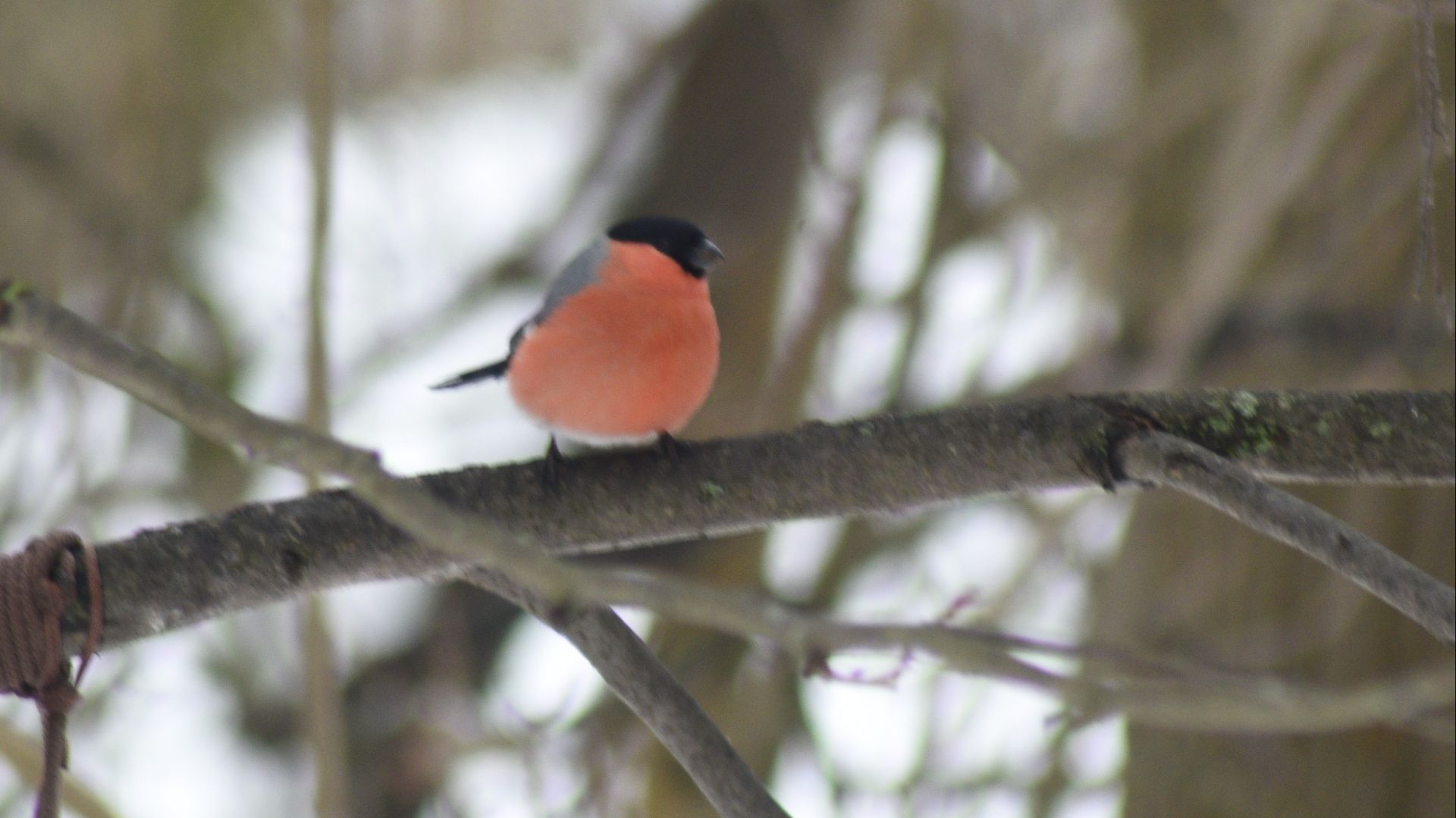 первый день весны