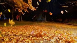 66 Shalf - кавер неизвестной (неопубликованной) песни Дианы Анкудиновой "Тихие мечты"