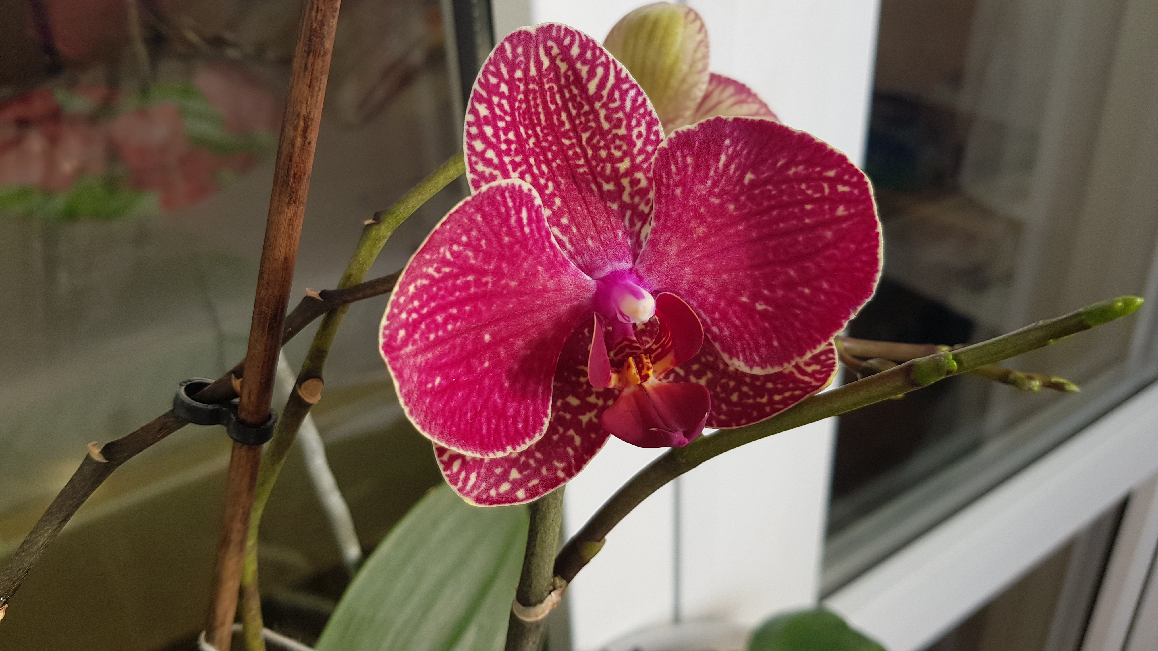 С днем рождения Март и Мои мартовские именинники 01.03.26