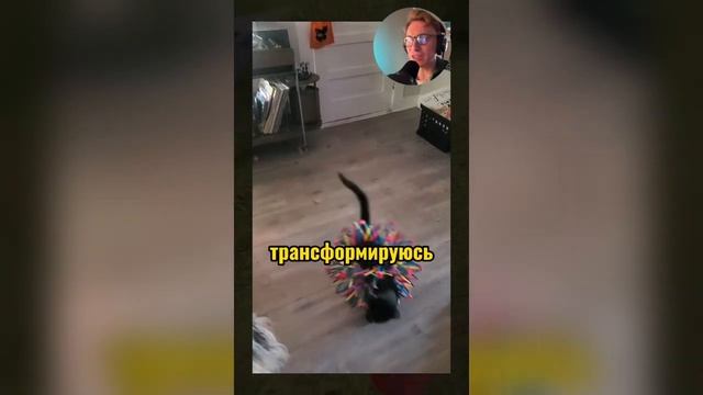 ВИРУСНЫЕ_ВИДЕО_Озвучка_смешных_видео_№7