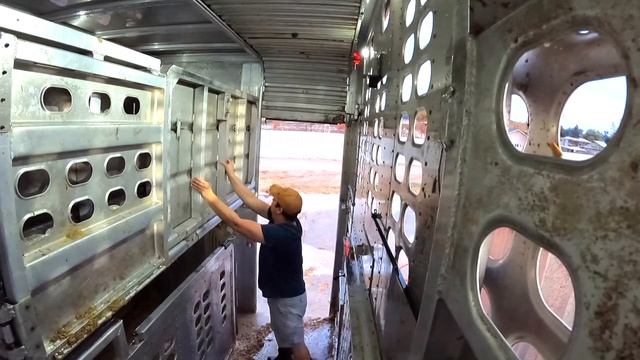 Pig Trailer Washout  (ep.7)