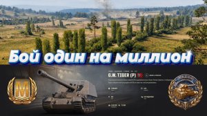 МТ. Мир танков. Мастер и Медаль Фадина на САУ G.W. Tiger (P)