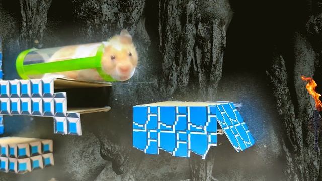 Игра Hamster Adventure Maze: преодоление препятствий. Супер Марио и лава в Hamster Stories смотреть онлайн