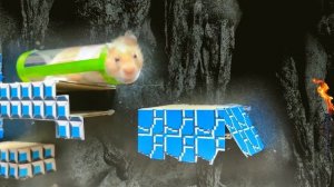 Игра Hamster Adventure Maze: преодоление препятствий. Супер Марио и лава в Hamster Stories