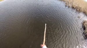 ЛУЧШАЯ РЫБАЛКА НА ПАУК  СТОЛЬКО РЫБЫ Я ЕЩЁ НЕ ВИДЕЛ!!!