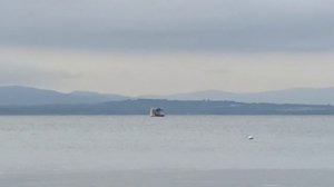 БЕЛЕЕТ ПАРУС ОДИНОКИЙ В ТУМАНЕ МОРЯ ГОЛУБОМ