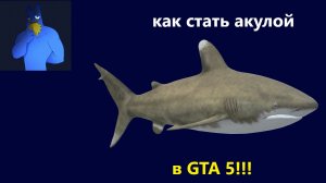 как стать акулой в гта 5!!!