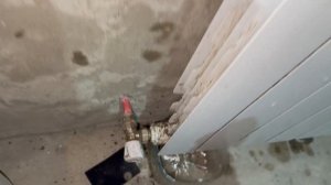 Жизнь вне орхидей- обуючиваю ВАННУ в доме на Юге на время ремонта  РАЗОЧАРОВАЛА кислота от ЦЕМЕНТА