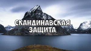 49. Скандинавская защита