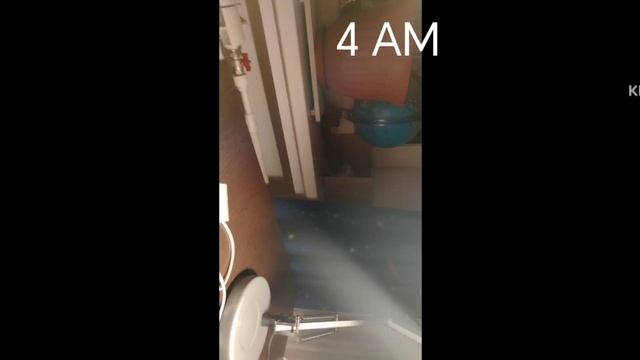 5 ночей с гошей 1-я ночь