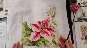 Итоги Февраля. Финиш. Планы на март