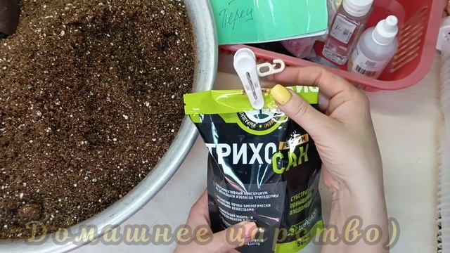 Мой лёгкий способ посева томатов!