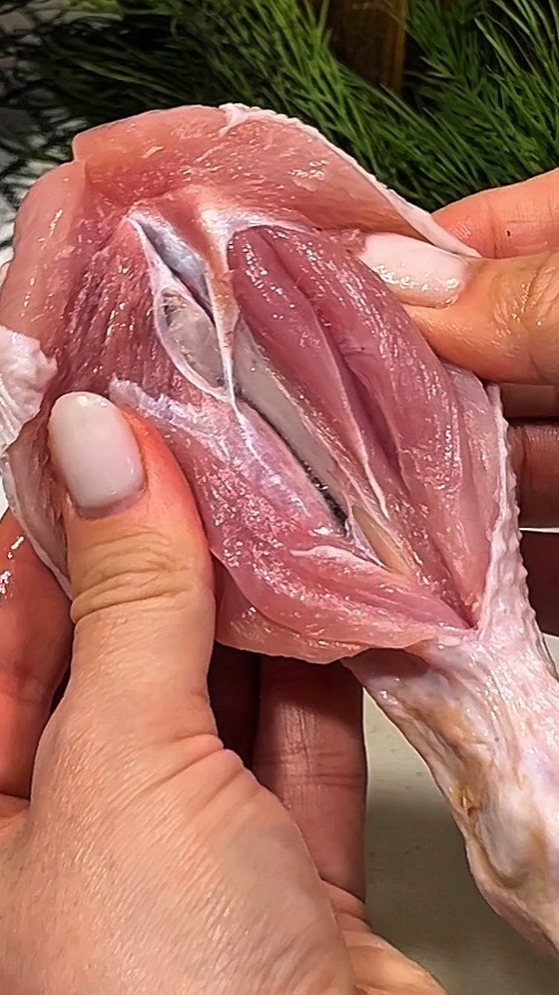 Идеи вкусных ужинов смотреть онлайн