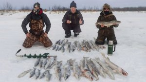 Бомбим щуку на Сахалине в декабре 2025 #fishing #сахалин #рыбалка #щука #щуказимой #sakhalin #зима