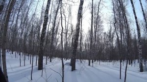 #Охота в Черепановском районе Новосибирской области