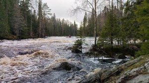 Шуя, Кумио, катамаран двойка