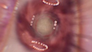 Mark Ashley - Baby Blue (Extended Mix)(Italo Disco 2021)