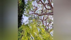 985.Приветствуем изумрудный март💚🌿!