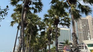 ТАЙЛАНД это РАЙ | ПОКУПКА НЕДВИЖИМОСТИ