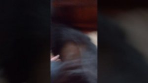 lv_0_20260301100305.mp4