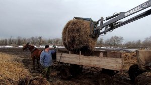Архивное видео. Февраль 2022. Как это было! (часть 34)