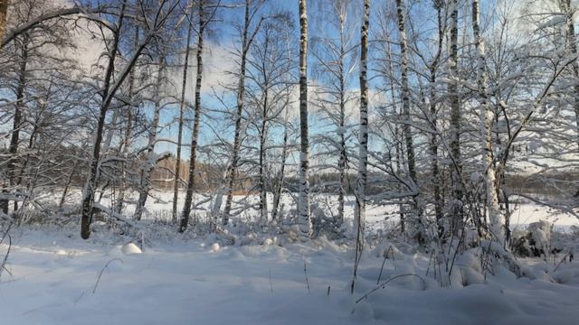 Наконец пришла зима!