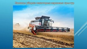Назначение СХМ. 02.03-03.03. 241 гр. Способы уборки зерновых культур.