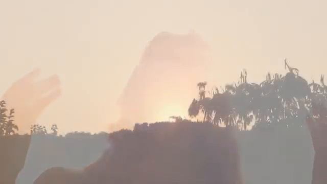 Deva Premal Miten Sound Healing Meditation - Seven Chakra Gayatri Mantra 1hr