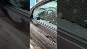 Равон нексия