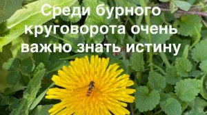 Запись прямого эфира от 1 марта 2026 года