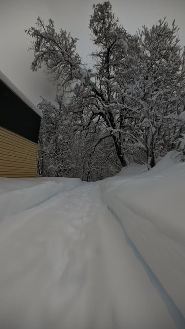 Снежный полет