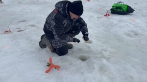 Поимки форели !!!