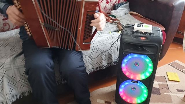 Миди гармонь