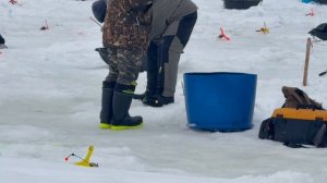 Поимки форели !!!