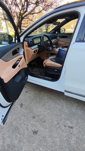 Jaecoo J8 Чип Тюнинг