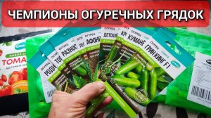 Чемпионы огуречных грядок: ОБЗОР семян огурцов для открытого грунта 🥒🌱