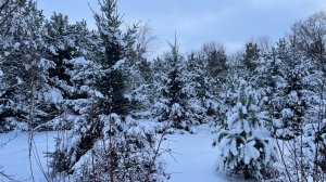 Русская зима