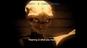 Допрос пришельца(серые)на русской озвучке