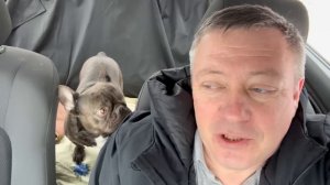 Жизнь вне орхидей- НАМАРАФЕТИЛИСЬ и уезжаем из ледяного ГОРОДА в тёплый южный хутор у моря